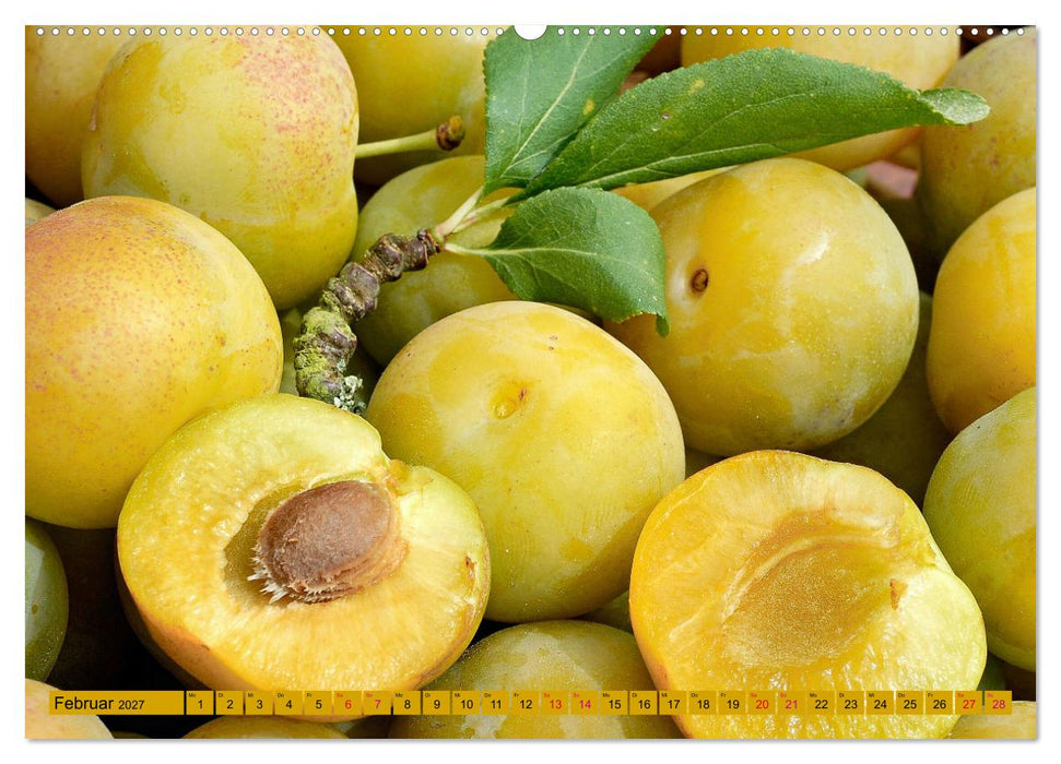 GELB - Gemüse und Obst - Sonnengereift (CALVENDO Premium Wandkalender 2027)