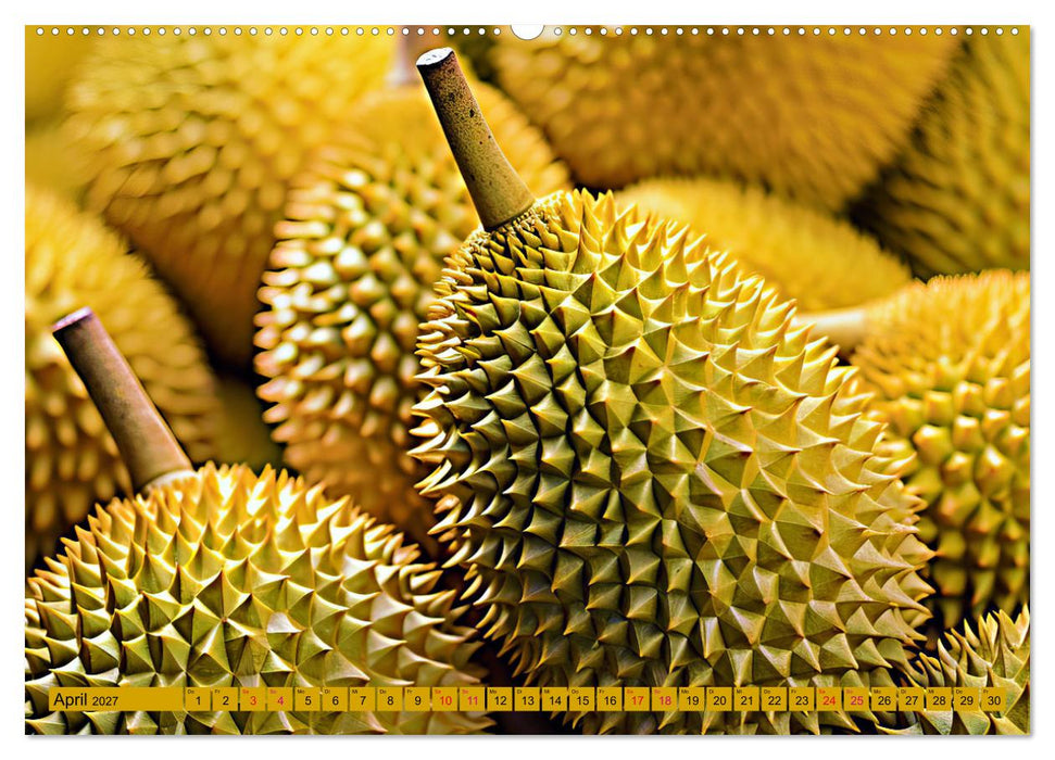 GELB - Gemüse und Obst - Sonnengereift (CALVENDO Premium Wandkalender 2027)
