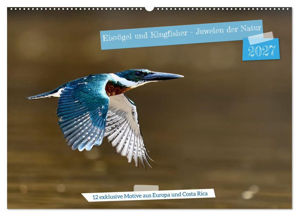 Eisvögel und Kingfisher – Juwelen der Natur (CALVENDO Wandkalender 2027)