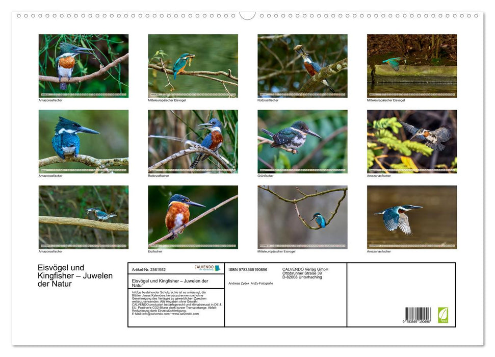 Eisvögel und Kingfisher – Juwelen der Natur (CALVENDO Wandkalender 2027)