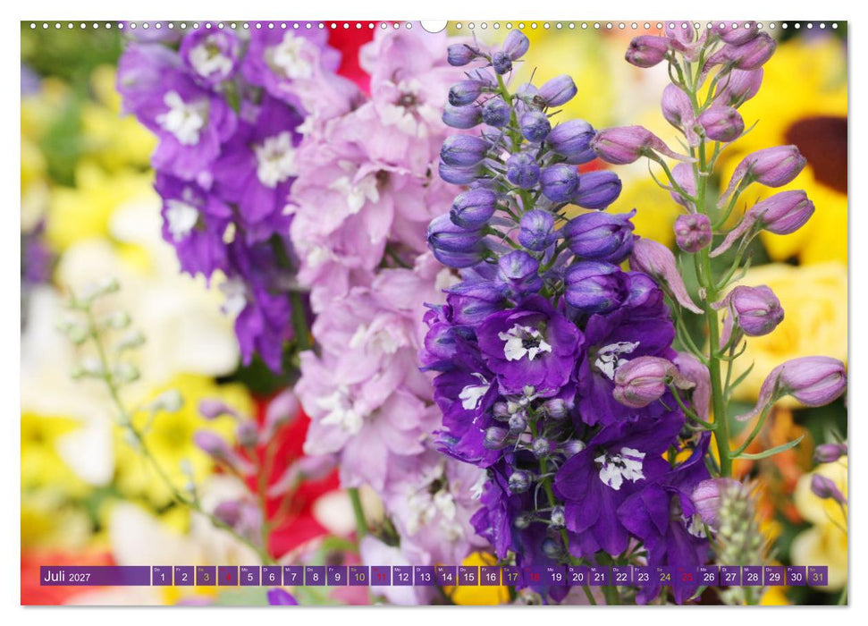 Blütenwunder - Mit Blumen durchs ganze Gartenjahr (CALVENDO Premium Wandkalender 2027)