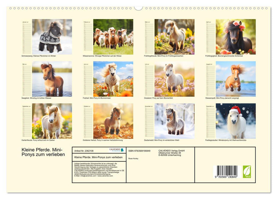 Kleine Pferde. Mini-Ponys zum verlieben (CALVENDO Premium Wandkalender 2027)