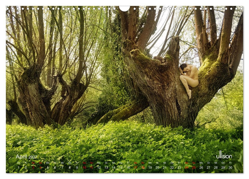 Poesie der Stille – Akt in der Natur (CALVENDO Wandkalender 2027)