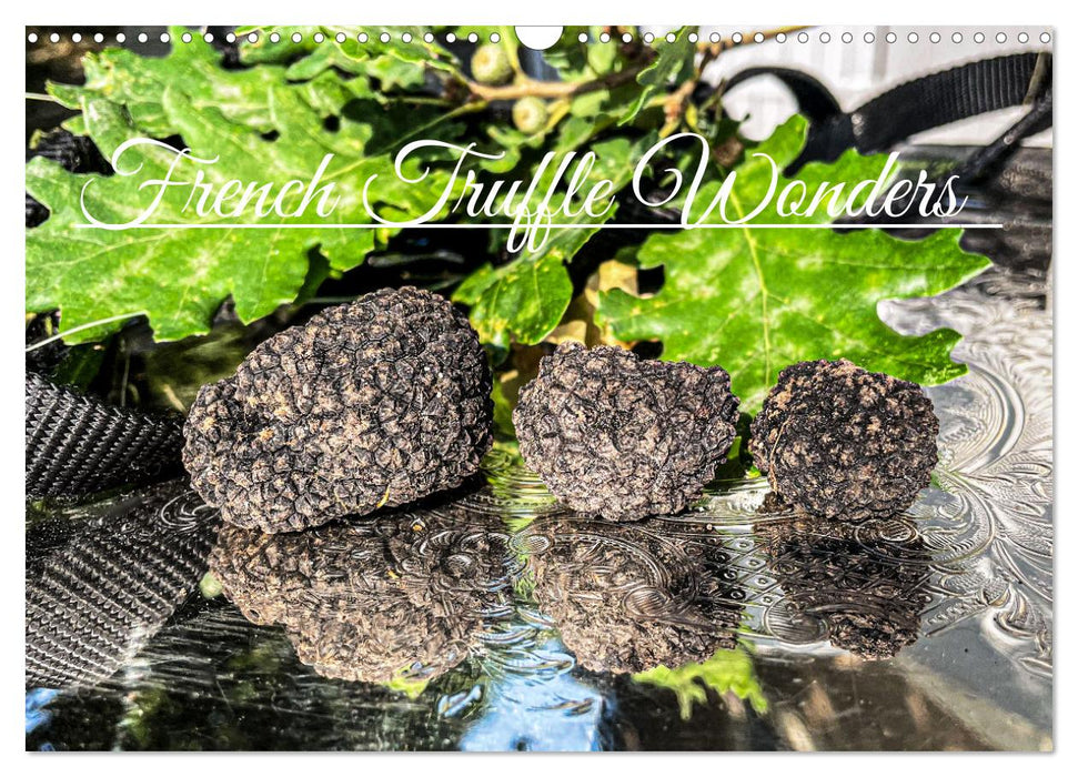 French Truffle Wonders (CALVENDO Monthly Calendar 2027)