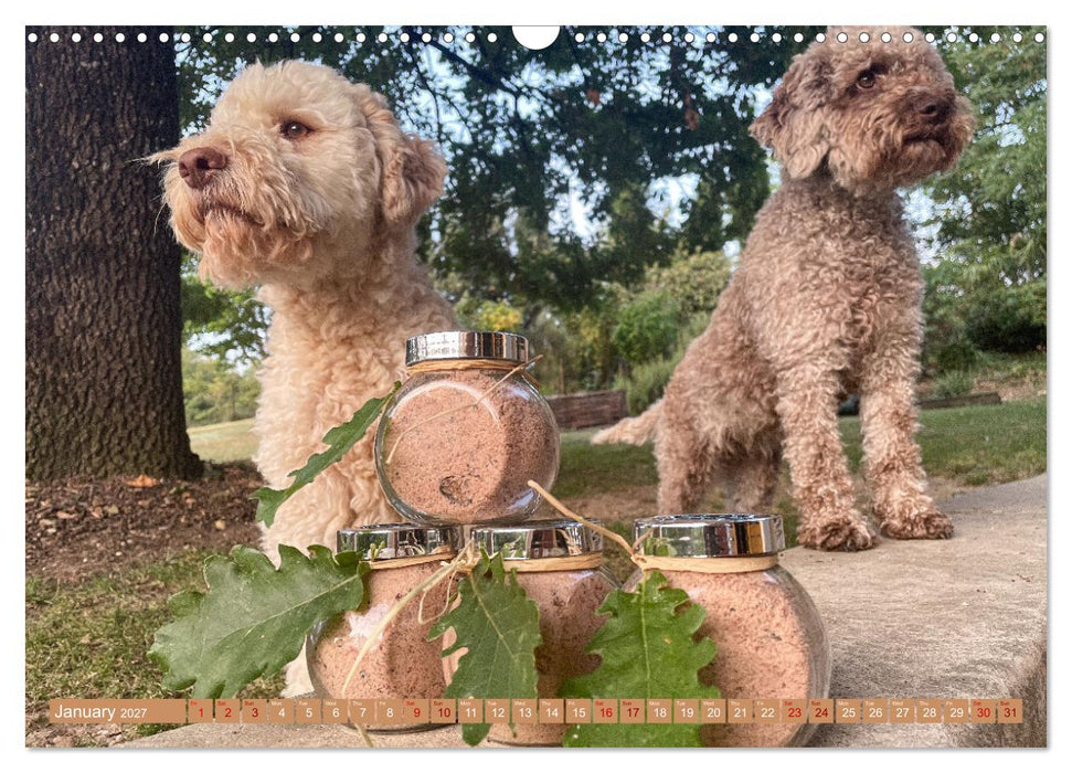 French Truffle Wonders (CALVENDO Monthly Calendar 2027)