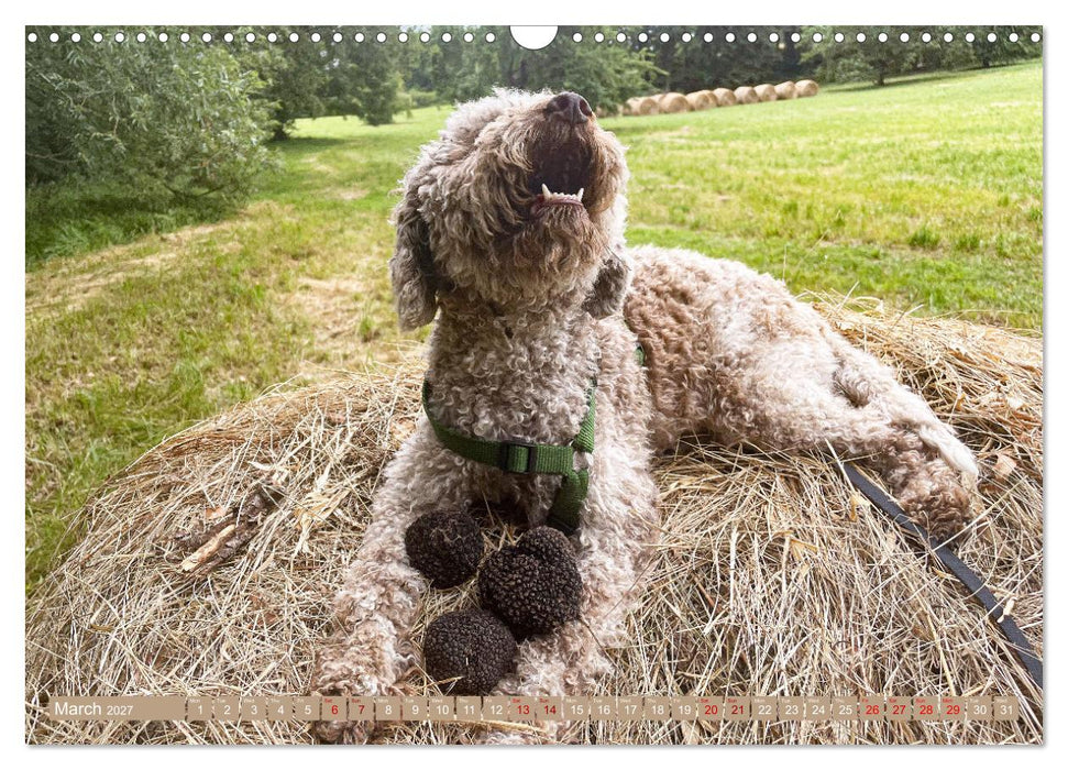 French Truffle Wonders (CALVENDO Monthly Calendar 2027)