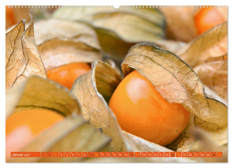 ORANGE - Gemüse und Obst -Vitaminreich (CALVENDO Premium Wandkalender 2027)