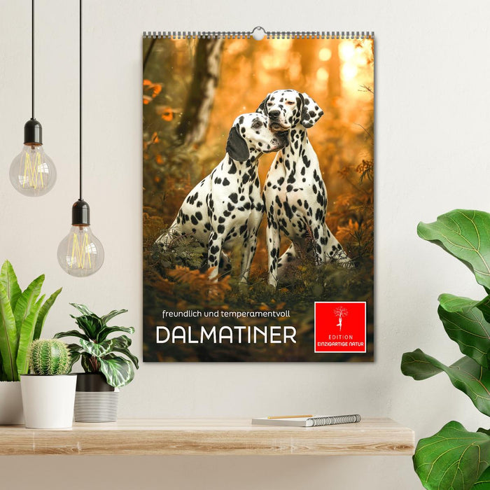 Dalmatiner - freundlich und temperamentvoll (CALVENDO Wandkalender 2027)