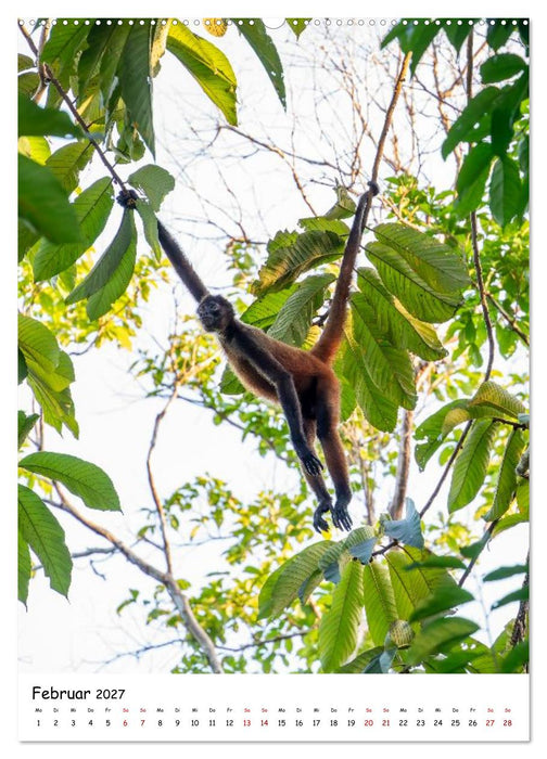 Costa Rica Wild und Frei (CALVENDO Premium Wandkalender 2027)