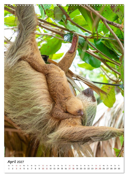 Costa Rica Wild und Frei (CALVENDO Premium Wandkalender 2027)