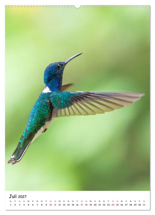 Costa Rica Wild und Frei (CALVENDO Premium Wandkalender 2027)