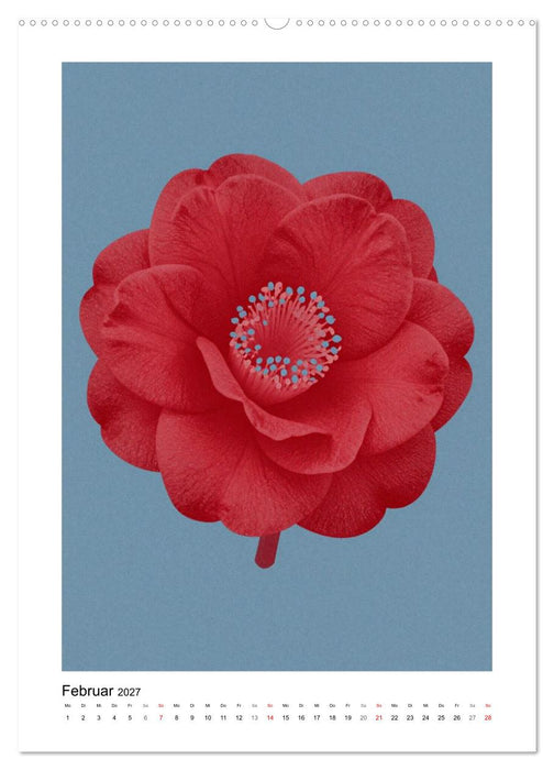 Botanischer Risodruck (CALVENDO Premium Wandkalender 2027)