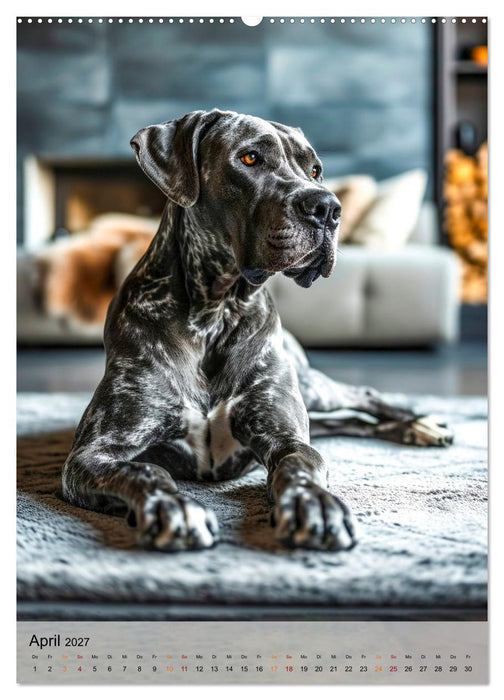 Deutsche Dogge - freundlicher Riese (CALVENDO Premium Wandkalender 2027)