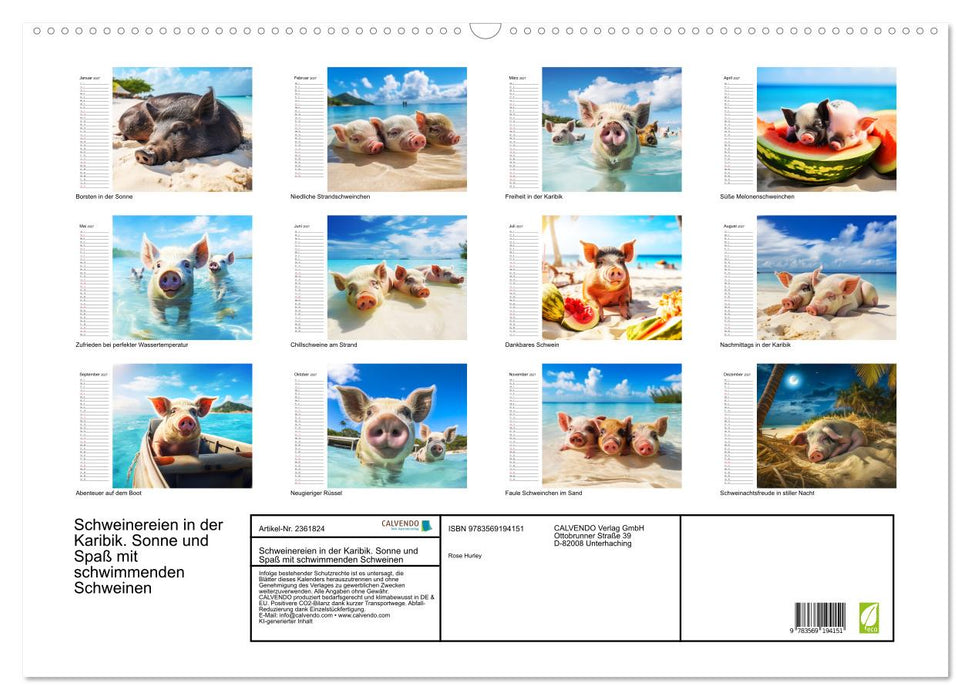 Schweinereien in der Karibik. Sonne und Spaß mit schwimmenden Schweinen (CALVENDO Wandkalender 2027)