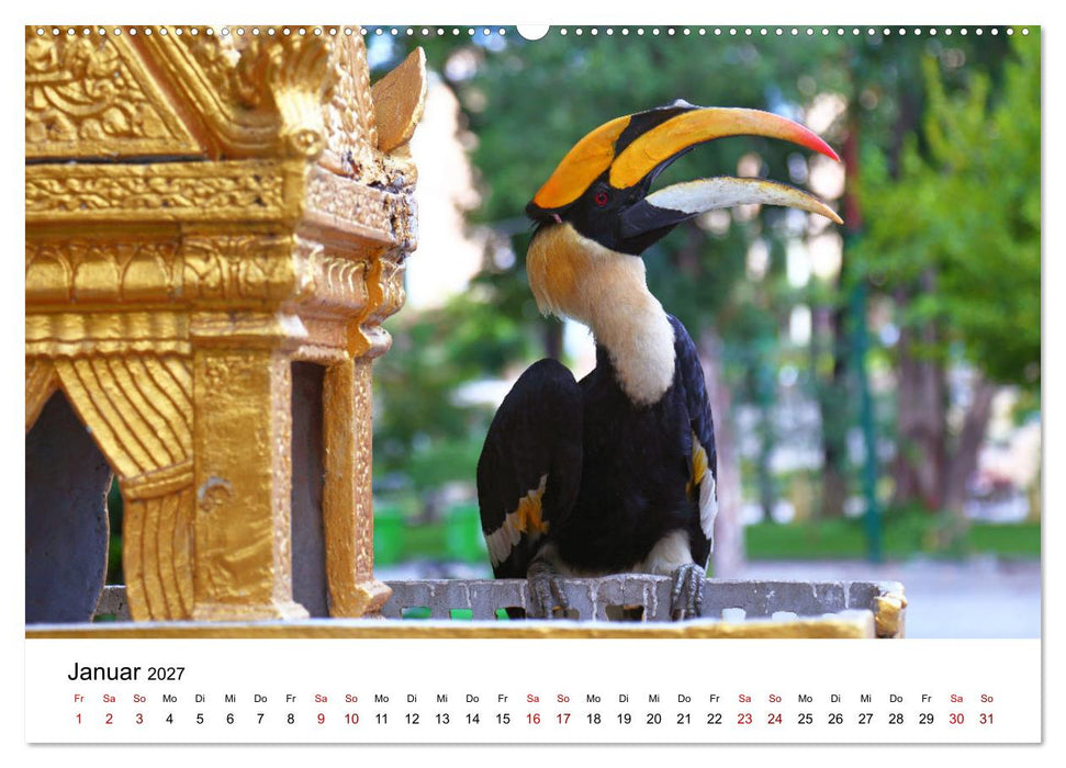 Blickpunkte in Kambodscha (CALVENDO Premium Wandkalender 2027)