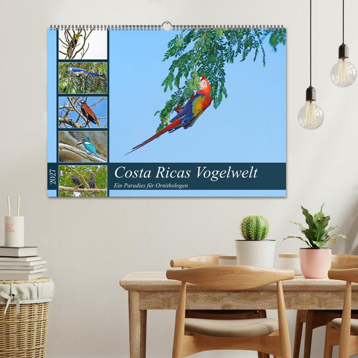 Costa Ricas Vogelwelt (CALVENDO Wandkalender 2027)