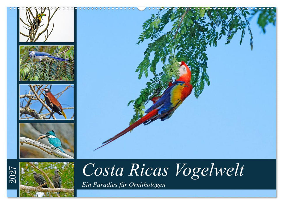 Costa Ricas Vogelwelt (CALVENDO Wandkalender 2027)