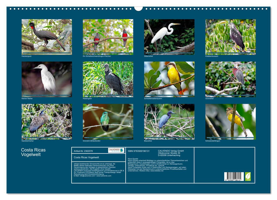 Costa Ricas Vogelwelt (CALVENDO Wandkalender 2027)