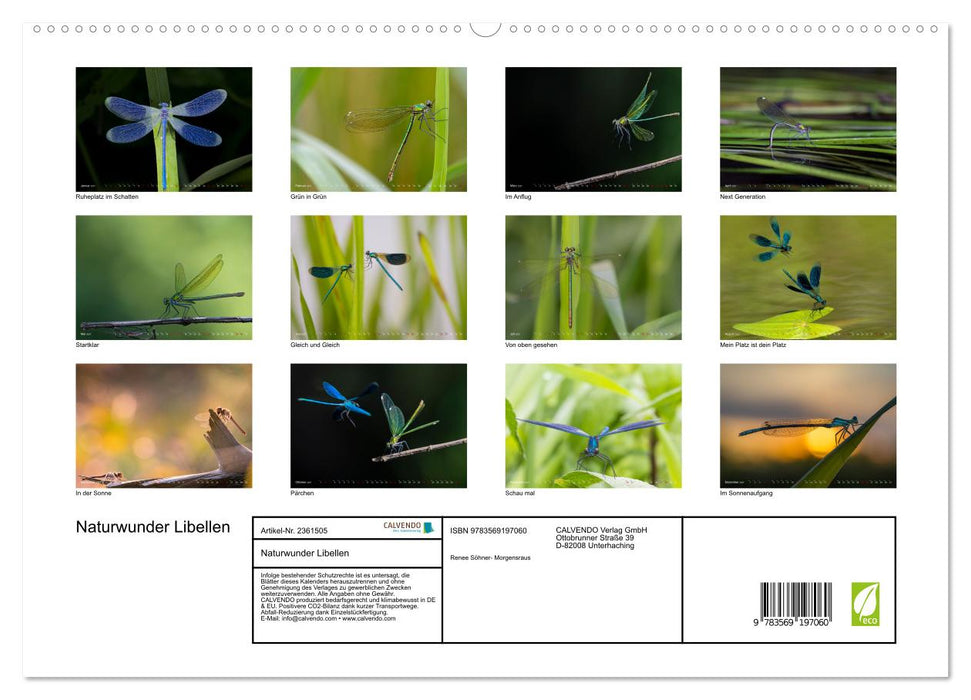 Naturwunder Libellen (CALVENDO Premium Wandkalender 2027)