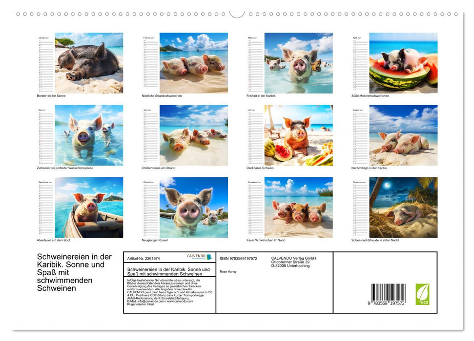 Schweinereien in der Karibik. Sonne und Spaß mit schwimmenden Schweinen (CALVENDO Premium Wandkalender 2027)