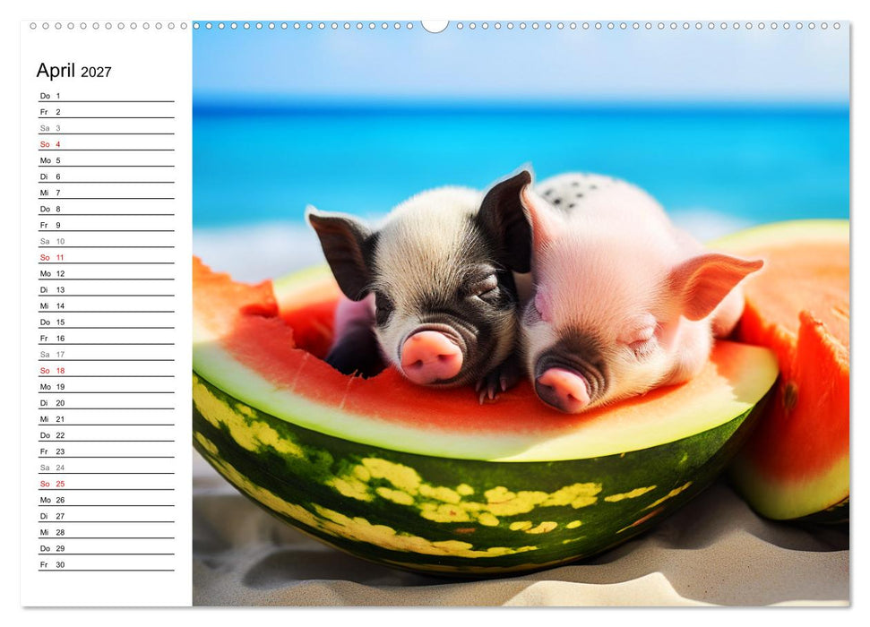 Schweinereien in der Karibik. Sonne und Spaß mit schwimmenden Schweinen (CALVENDO Premium Wandkalender 2027)
