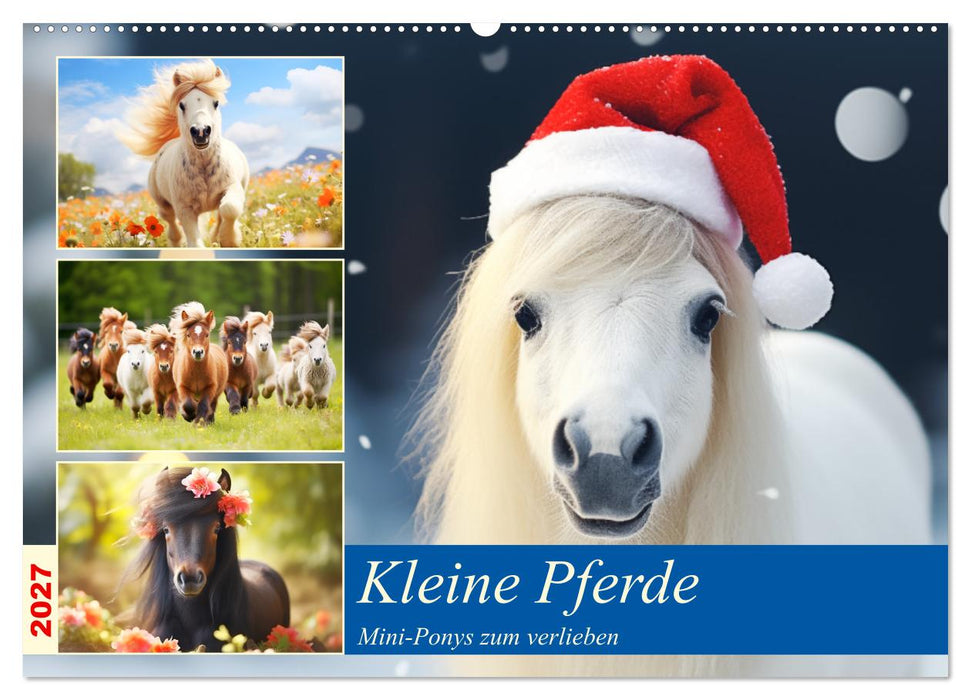 Kleine Pferde. Mini-Ponys zum verlieben (CALVENDO Wandkalender 2027)