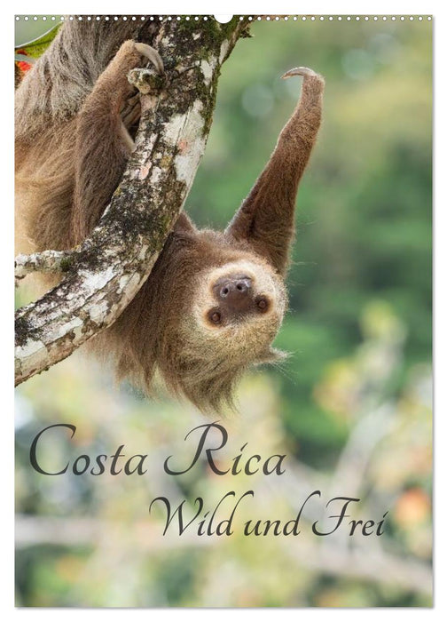 Costa Rica Wild und Frei (CALVENDO Wandkalender 2027)