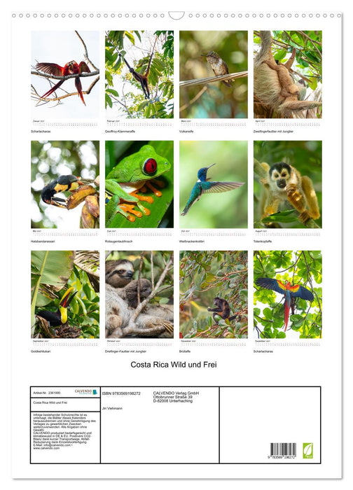Costa Rica Wild und Frei (CALVENDO Wandkalender 2027)