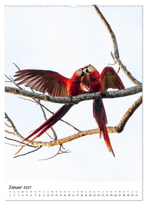 Costa Rica Wild und Frei (CALVENDO Wandkalender 2027)