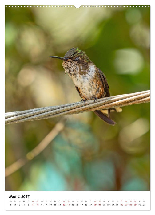 Costa Rica Wild und Frei (CALVENDO Wandkalender 2027)