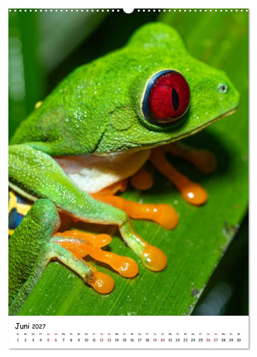 Costa Rica Wild und Frei (CALVENDO Wandkalender 2027)