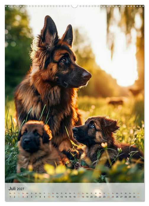 Deutscher Schäferhund - mutig und zuverlässig (CALVENDO Premium Wandkalender 2027)