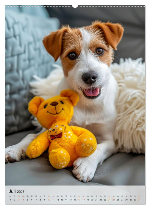 Jack Russel Terrier - furchtlos und viel Selbstvertrauen (CALVENDO Premium Wandkalender 2027)