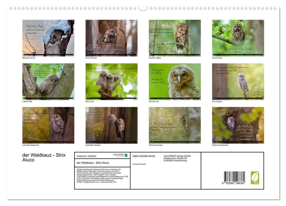 der Waldkauz - Strix Aluco (CALVENDO Premium Wandkalender 2027)