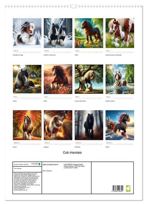 Cob irlandais (CALVENDO Calendrier mensuel 2027)
