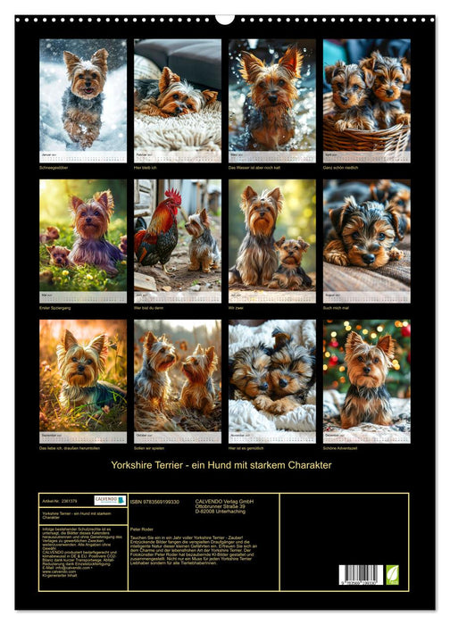 Yorkshire Terrier - ein Hund mit starkem Charakter (CALVENDO Wandkalender 2027)