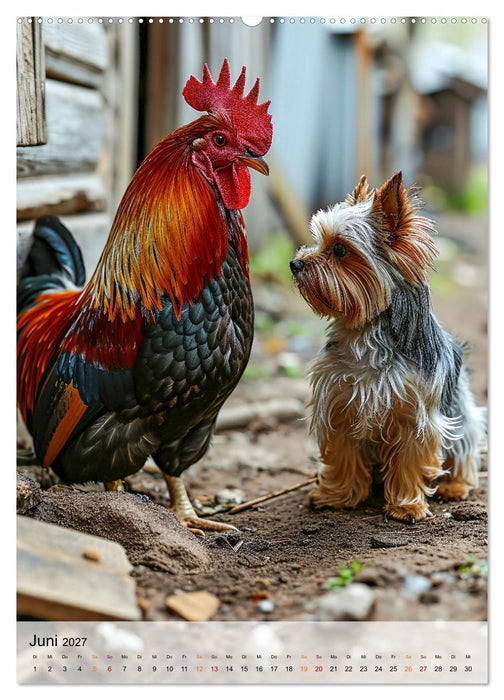 Yorkshire Terrier - ein Hund mit starkem Charakter (CALVENDO Wandkalender 2027)