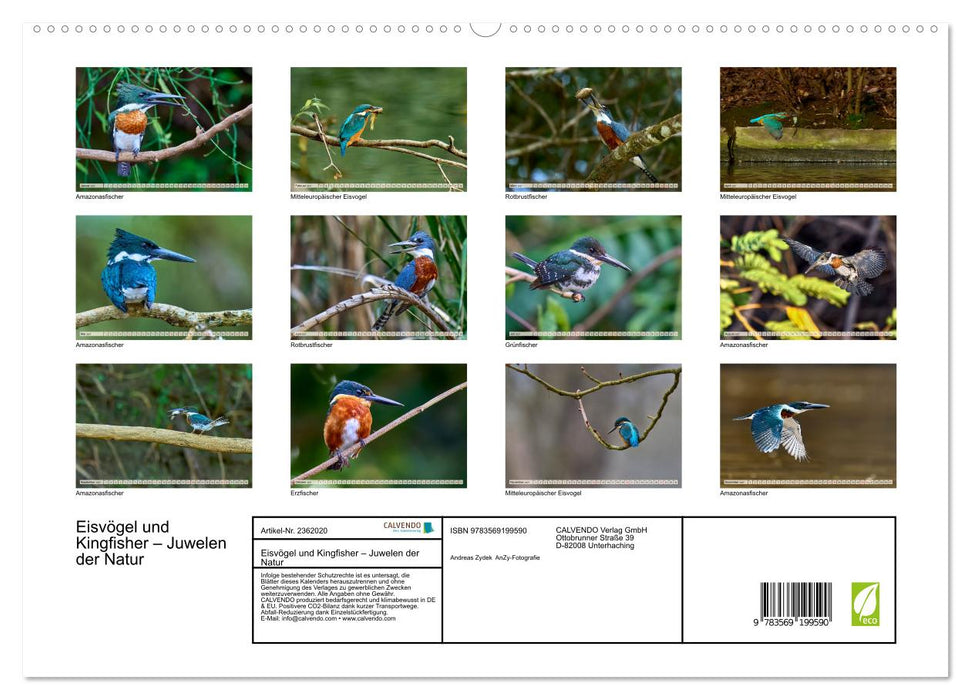 Eisvögel und Kingfisher – Juwelen der Natur (CALVENDO Premium Wandkalender 2027)