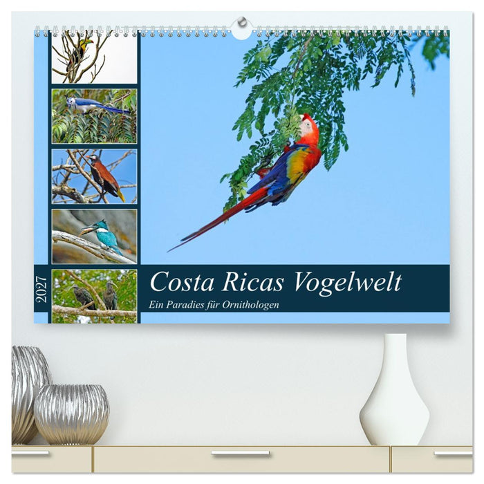 Costa Ricas Vogelwelt (CALVENDO Premium Wandkalender 2027)