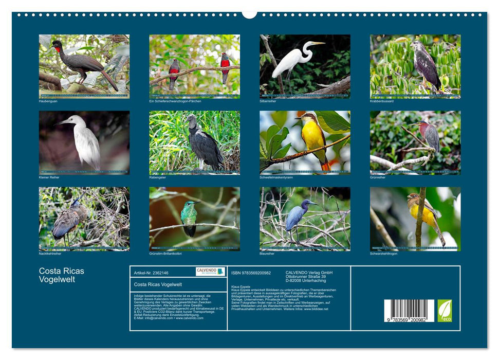 Costa Ricas Vogelwelt (CALVENDO Premium Wandkalender 2027)