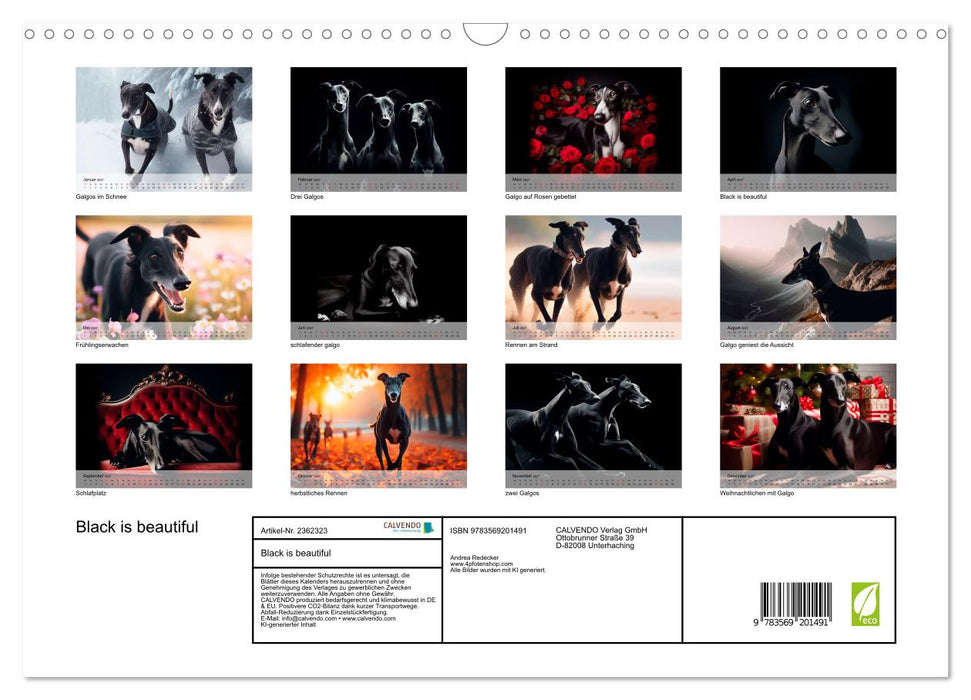 Black is beautiful (CALVENDO Wandkalender 2027)