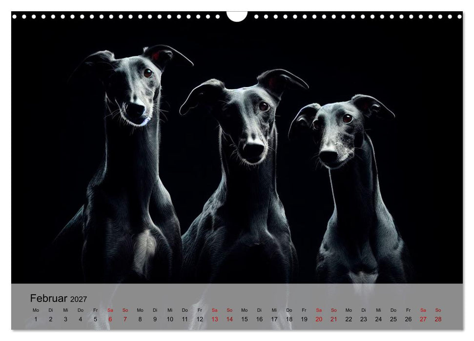 Black is beautiful (CALVENDO Wandkalender 2027)