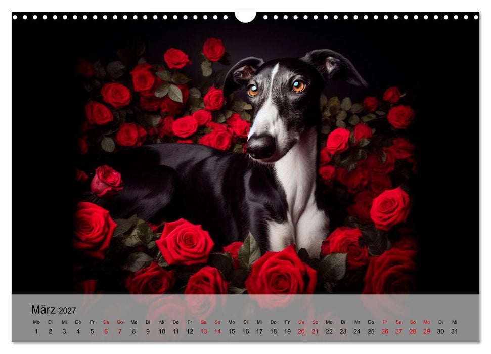 Black is beautiful (CALVENDO Wandkalender 2027)