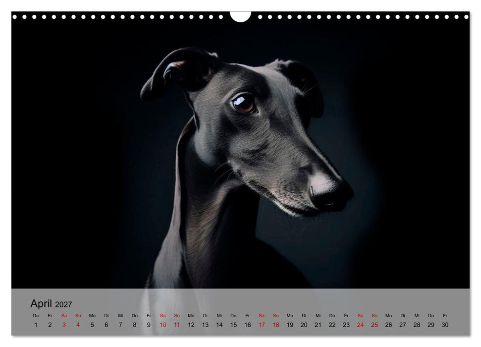 Black is beautiful (CALVENDO Wandkalender 2027)