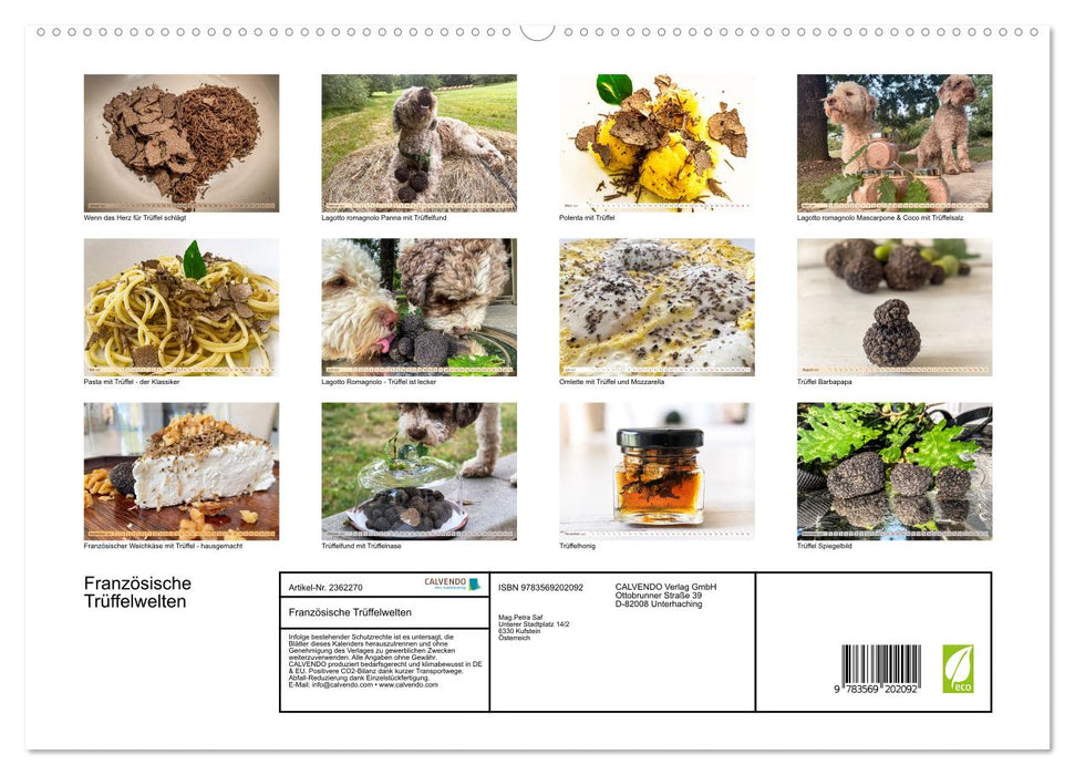 Französische Trüffelwelten (CALVENDO Premium Wandkalender 2027)