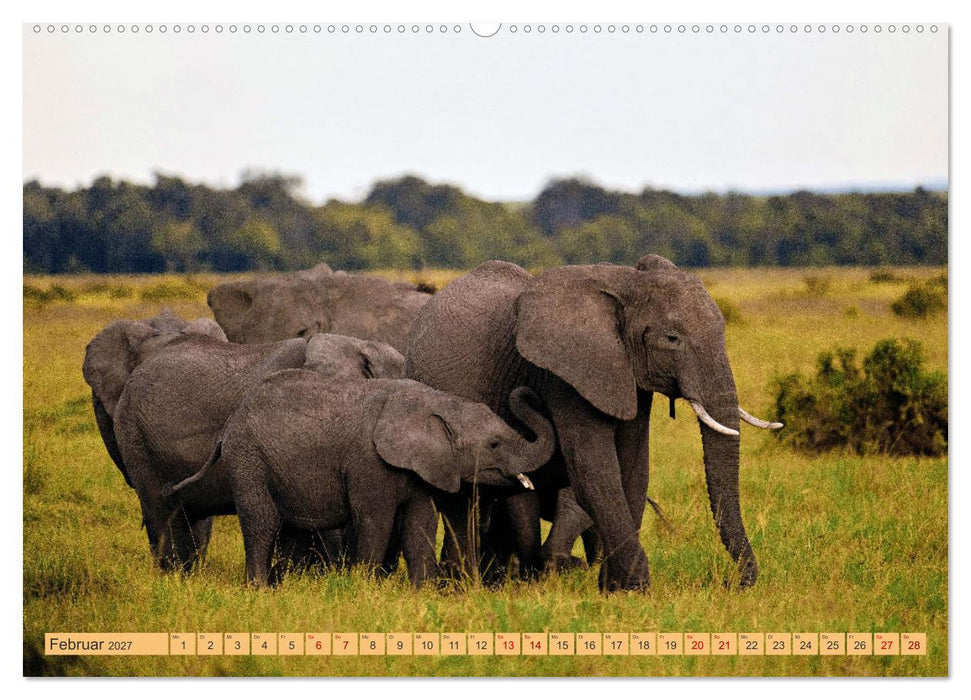 Magische Momente aus Kenia (CALVENDO Wandkalender 2027)