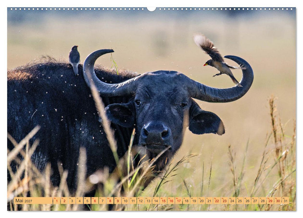 Magische Momente aus Kenia (CALVENDO Wandkalender 2027)