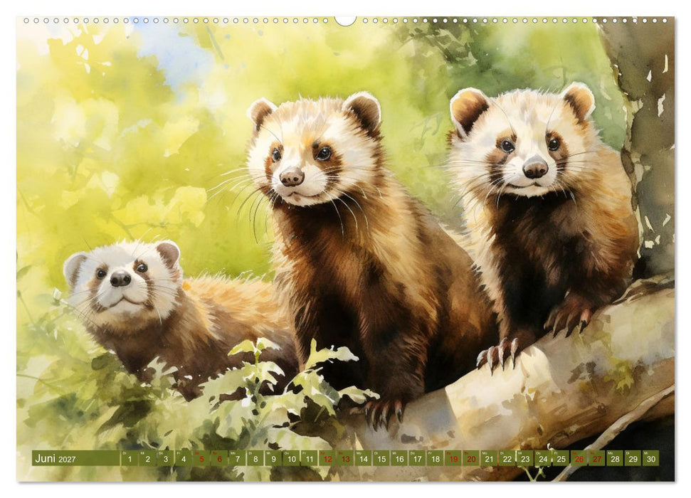 Zwölf Monate im Wald (CALVENDO Wandkalender 2027)