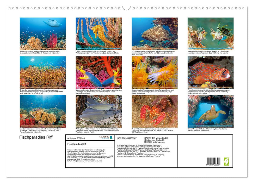 Fischparadies Riff (CALVENDO Wandkalender 2027)
