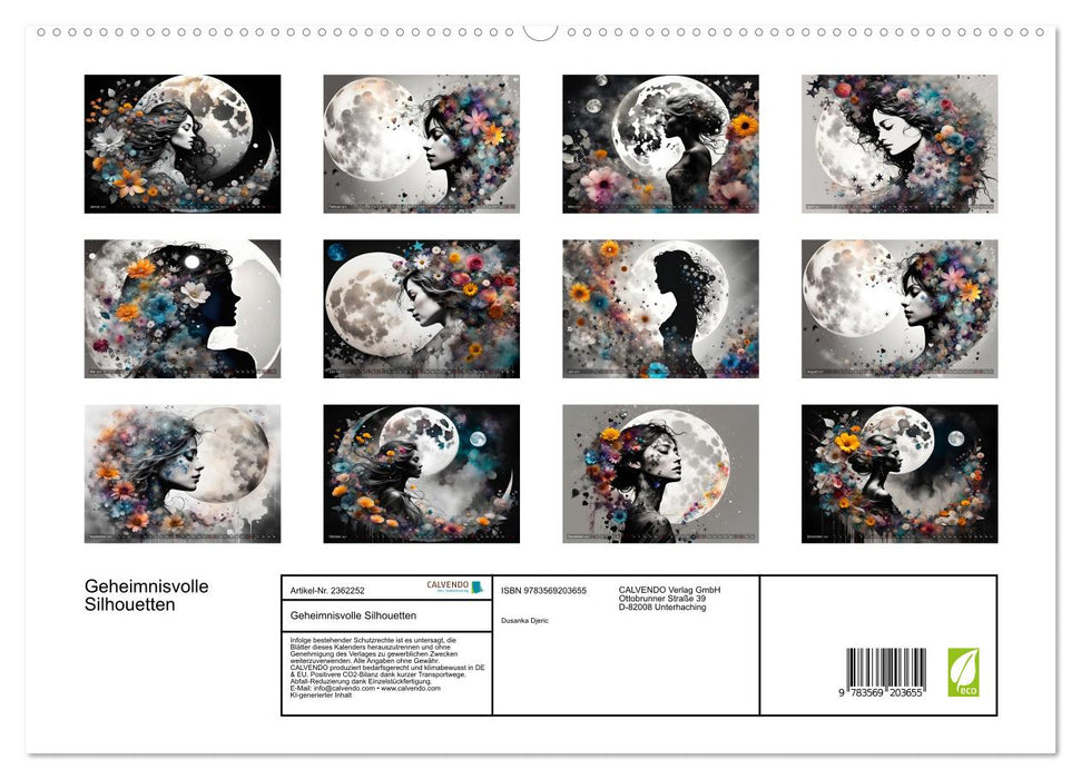 Geheimnisvolle Silhouetten (CALVENDO Premium Wandkalender 2027)